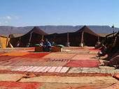 sahara